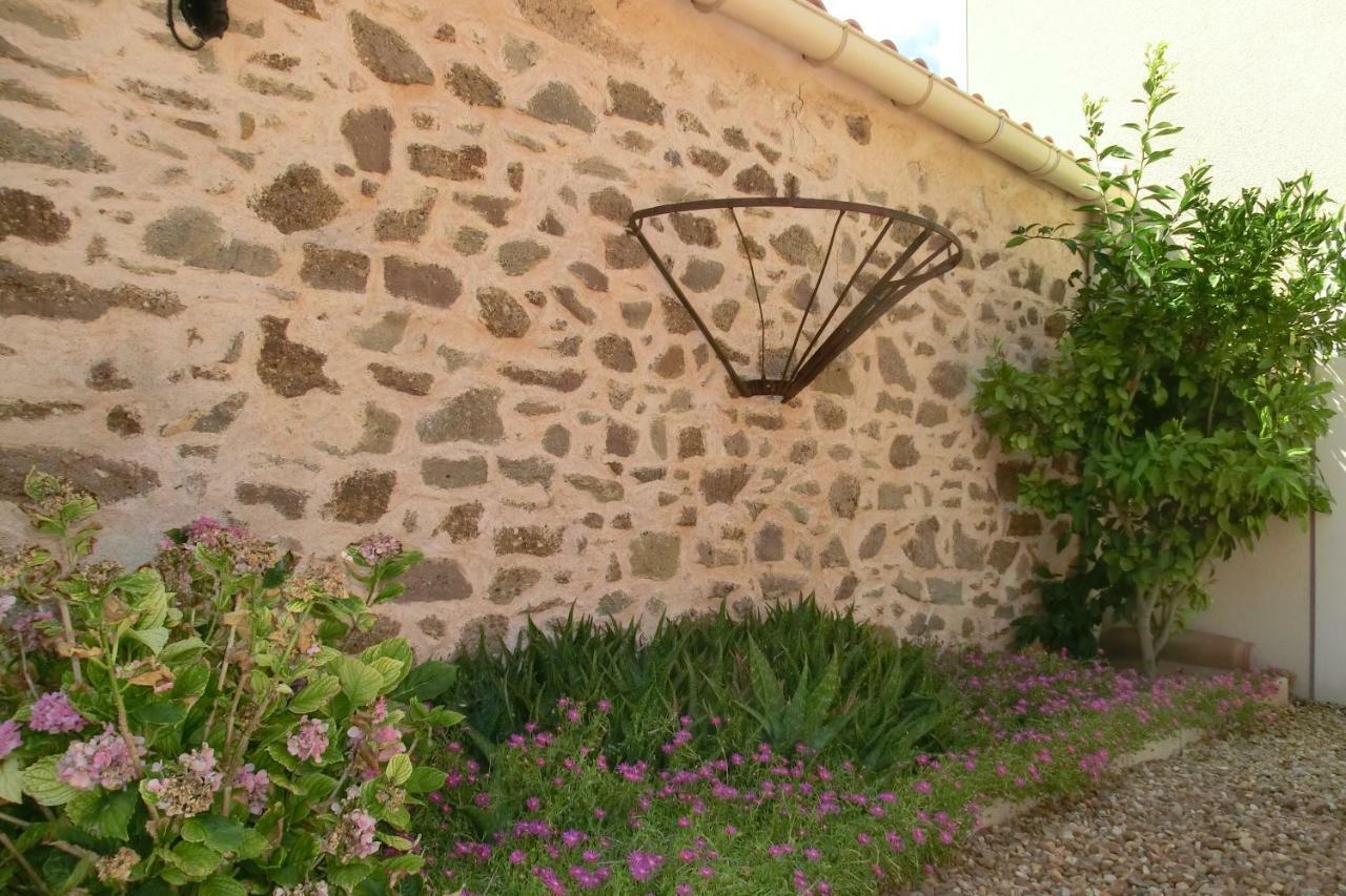 Gite Charlrose At La Platriere Cazedarnes Exterior foto